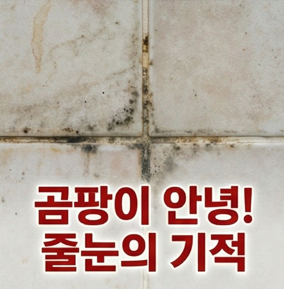 안양시줄눈시공공사