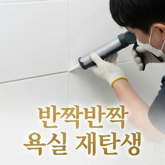 중구신당동명동성당탄성코트
