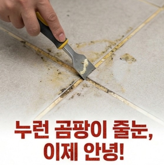 의정부시호원동회룡역탄성코트