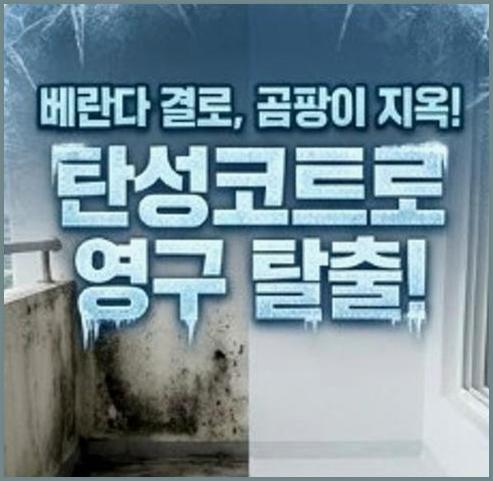 마포구서강동월드컵경기장역탄성코트