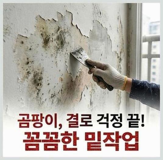 용인시동백동용인경전철탄성코트