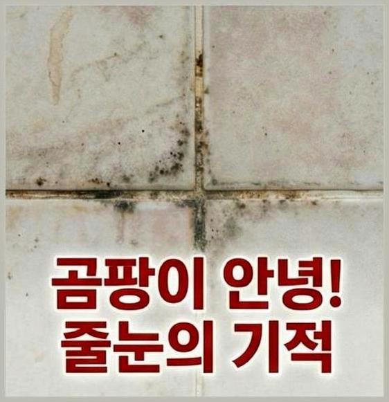 서대문구북아현동이대역탄성코트